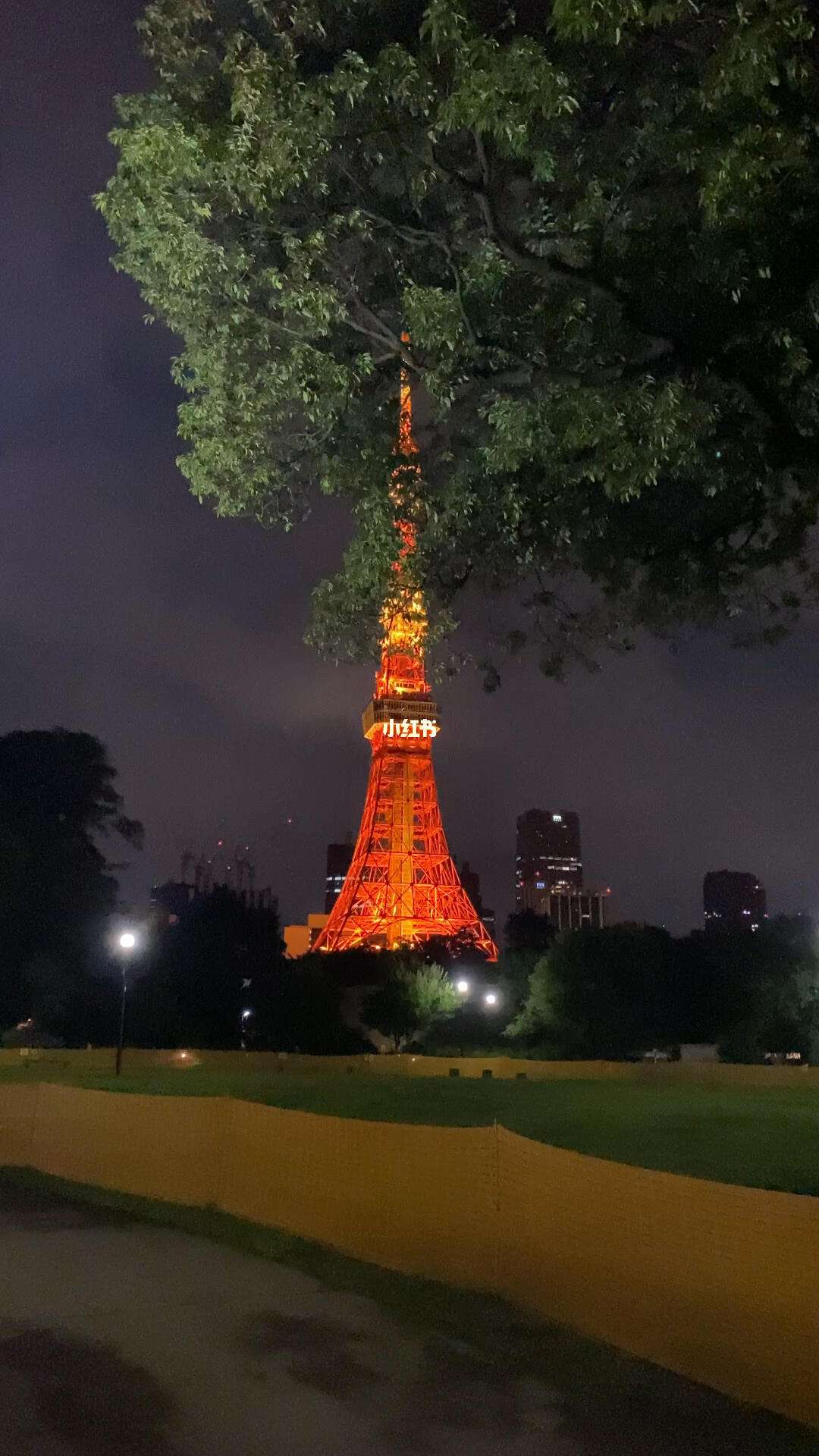 包含平易近人！美媒TMZSports晒文班亚马东京夜游照片的词条