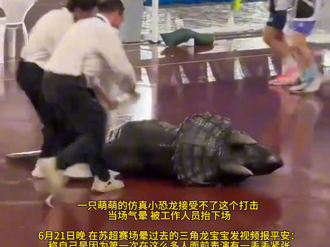 苏超中常州输给南京，小恐龙当场气晕被工作人员抬下场