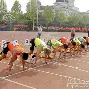 凯发体育登录入口-高雅茨VS霍耐德激战正酣，胜负难分
